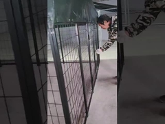 6ft Yükseklik Kaynatılmış Çelik Köpek Keneli Tozla Kaplı Köpek Koşu Evi