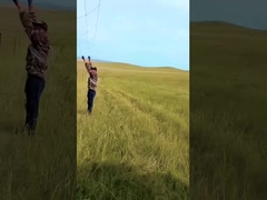 Sıcak Dip Galvanize Sığır Çit Panel 8 Ft Yükseklik Sabit Düğüm Geyik Tel örgü Çit