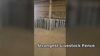 Sığır Atları İçin Güçlü Hayvancılık Çitleri