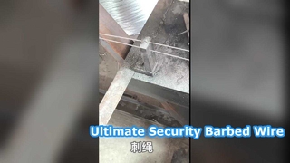 25kg Galvanizli Dikenli Tel Güvenlik Çiti