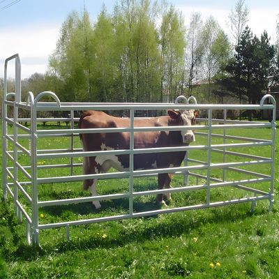 12 Ft Heavy Duty Galvanized Metal Round Pen Cattle Corral Livestock Farm Fence Panels