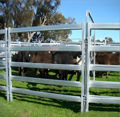 Heat Treated Welded Steel Livestock Fence Panel With 3D Modeling Galvanized 