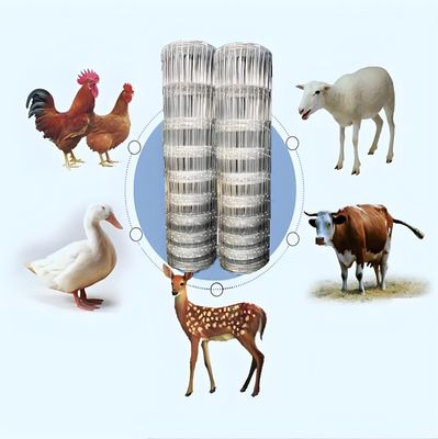 2.0MM Yüksek Çekme Mukavemetli Galvanizli Tel Çiftlik Sığır Çiti Sebze Bahçesi Örgüsü Yüzey İşlemi