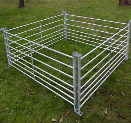 10 Foot Galvanize boru taşınabilir Sığır Çiftliği Çit Paneli